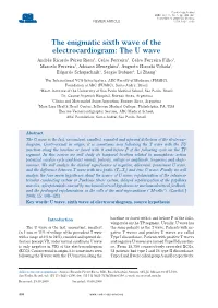 The Enigmatic Sixth Wave of the Electrocardiogram: the U Wave
