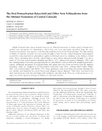 The First Pennsylvanian Batocrinid and Other New Echinoderms from the Minturn Formation of Central Colorado