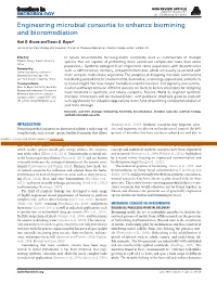 Engineering Microbial Consortia to Enhance Biomining and Bioremediation
