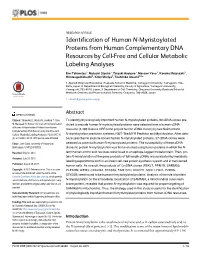 Identification of Human N-Myristoylated Proteins from Human Complementary DNA Resources by Cell-Free and Cellular Metabolic Labeling Analyses