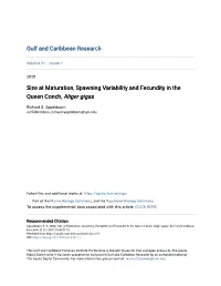 Size at Maturation, Spawning Variability and Fecundity in the Queen Conch, Aliger Gigas
