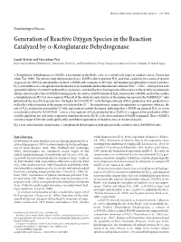 Generation of Reactive Oxygen Species in the Reaction Catalyzed by ␣-Ketoglutarate Dehydrogenase