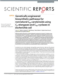 Genetically Engineered Biosynthetic Pathways for Nonnatural C60