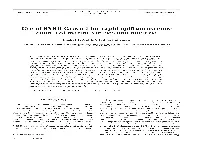 Use of SYBR Green I for Rapid Epifluorescence Counts of Marine Viruses and Bacteria