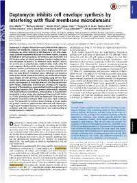 Daptomycin Inhibits Cell Envelope Synthesis by Interfering with Fluid Membrane Microdomains