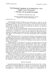The Chromosome Complement of the Hybrid Bacillus Whitei Complex (Insecta Phasmatodea) I