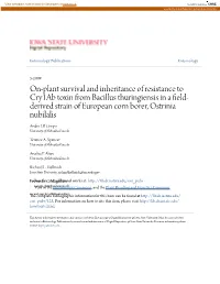 On-Plant Survival and Inheritance of Resistance to Cry1ab Toxin