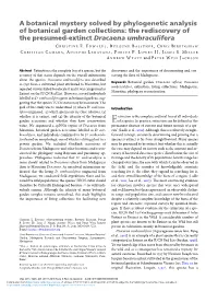 The Rediscovery of the Presumed-Extinct Dracaena Umbraculifera