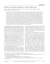 ARTICLE Evidence of Positive Selection on a Class I ADH Locus