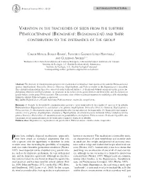 Bignonieae: Bignoniaceae) and Their Contribution to the Systematics of the Group