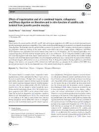 Effects of Trypsinization and of a Combined Trypsin, Collagenase, and Dnase Digestion on Liberation and in Vitro Function Of