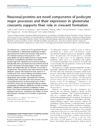 Neuronal Proteins Are Novel Components of Podocyte Major Processes and Their Expression in Glomerular Crescents Supports Their R
