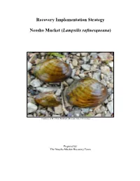 Recovery Implementation Strategy Neosho Mucket (Lampsilis