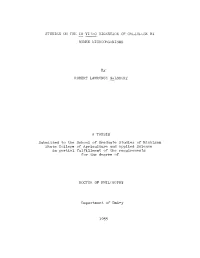 Studies on the in Vitro Digestion of Cellulose By