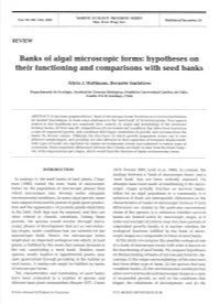 Banks of Algal Microscopic Forms: Hypotheses on Their Functioning and Comparisons with Seed Banks