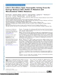 Leber's Hereditary Optic Neuropathy Arising from the Synergy Between