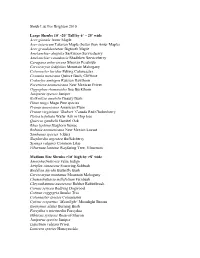 Shrub List for Brighton 2010