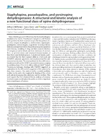 A Structural and Kinetic Analysis of a New Functional Class of Opine