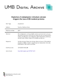 Curriculum Vitae Kathleen A. Trychta Program in Toxicology University Of