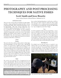 Fish-Photography-Post-Processing.Pdf