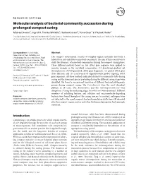 Molecular Analysis of Bacterial Community Succession During Prolonged Compost Curing