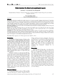 Study of Pterion: Its Clinical and Morphological Aspects