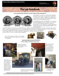 The Lab Notebook