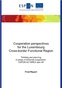 Final Report ACTAREA Spinoff Luxembourg.Pdf