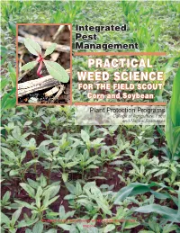 Practical Weed Science for the Field Scout Corn and Soybean