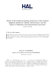 Study of the Health Promoting Properties of the Tropical Highland