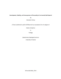 Development, Stability, and Consequences of Personality in the Juvenile Red Squirrel by Amanda D