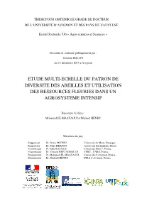 Etude Multi-Echelle Du Patron De Diversite Des Abeilles Et Utilisation Des Ressources Fleuries Dans Un Agrosysteme Intensif