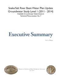Executive Summary
