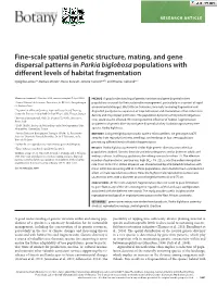 Fine-Scale Spatial Genetic Structure, Mating, and Gene Dispersal Patterns in Parkia Biglobosa Populations with Different Levels of Habitat Fragmentation