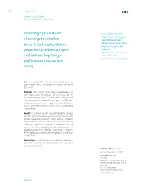 Inhibiting Alpha Subunit of Eukaryotic Initiation Factor 2 Dephosphorylation