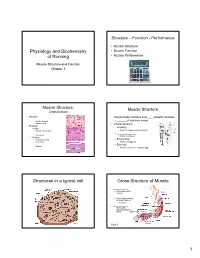 Physiology and Biochemistry of Running