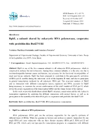 Rpb5, a Subunit Shared by Eukaryotic RNA Polymerases, Cooperates with Prefoldin-Like Bud27/URI