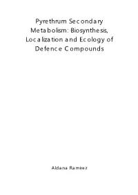 Pyrethrum Secondary Metabolism: Biosynthesis, Localization and Ecology of Defence Compounds