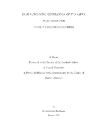 Semi-Automatic Generation of Transfer Functions for Direct