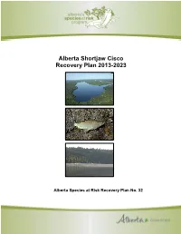 Alberta Shortjaw Cisco Recovery Plan 2013-2023