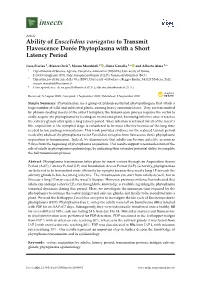Ability of Euscelidius Variegatus to Transmit Flavescence Dorée Phytoplasma with a Short Latency Period