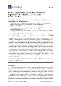 How to Improve the Antioxidant Defense in Asphyxiated Newborns—Lessons from Animal Models