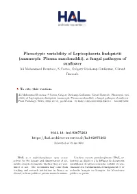Phenotypic Variability of Leptosphaeria Lindquistii