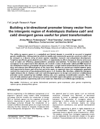 Building a Bi-Directional Promoter Binary Vector from the Intergenic Region of Arabidopsis Thaliana Cab1 and Cab2 Divergent Genes Useful for Plant Transformation