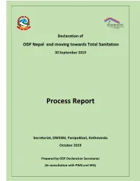 Process Report
