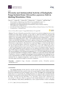 Diversity and Antimicrobial Activity of Endophytic Fungi Isolated from Chloranthus Japonicus Sieb in Qinling Mountains, China