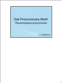 Oakprocessionarymoth.Pdf