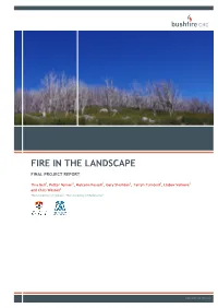 Fire in the Landscape Final Project Report