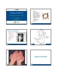 Anatomy of the Hand Bones of the Hand