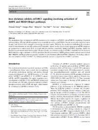 Iron Chelation Inhibits Mtorc1 Signaling Involving Activation of AMPK and REDD1/Bnip3 Pathways